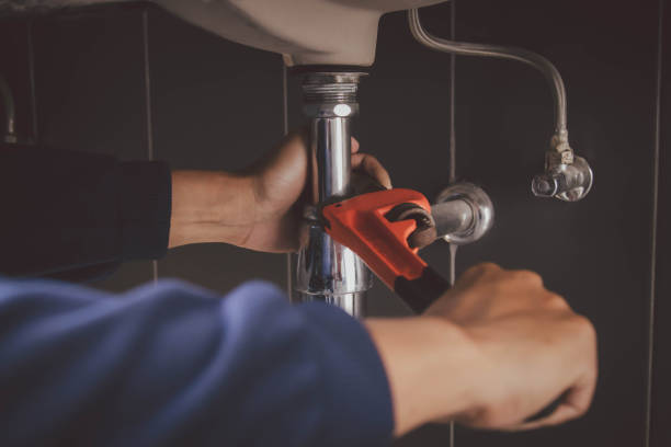 Best Clogged Drain Plumber  in San Ysidro, NM